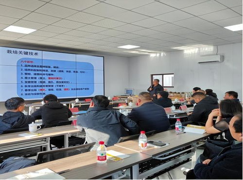 國家食用菌產(chǎn)業(yè)技術(shù)體系濟(jì)南綜合試驗(yàn)站食用菌技術(shù)培訓(xùn)會(huì)在東營成功召開